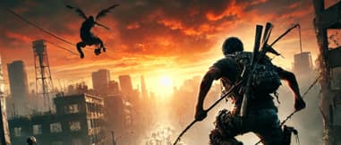 Dying Light game